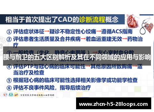 腰与前卫的五大区别解析及其在不同领域的应用与影响