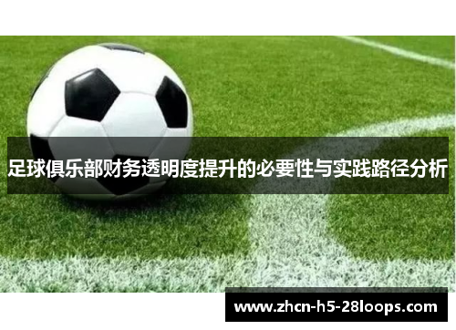 足球俱乐部财务透明度提升的必要性与实践路径分析 足球俱乐部财务透明度提升的必要性与实践路径分析