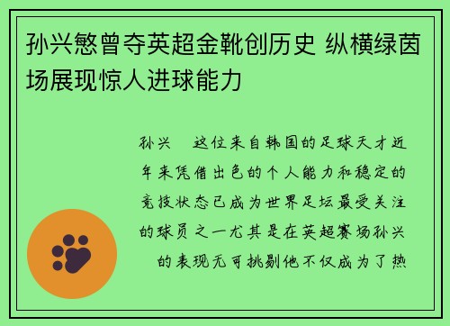 孙兴慜曾夺英超金靴创历史 纵横绿茵场展现惊人进球能力 孙兴慜曾夺英超金靴创历史 纵横绿茵场展现惊人进球能力